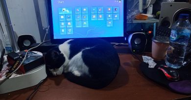 Bahayanya Bikin Story WA